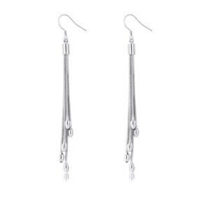 Silver Oblong Bead Tassle Long Dangle Earrings